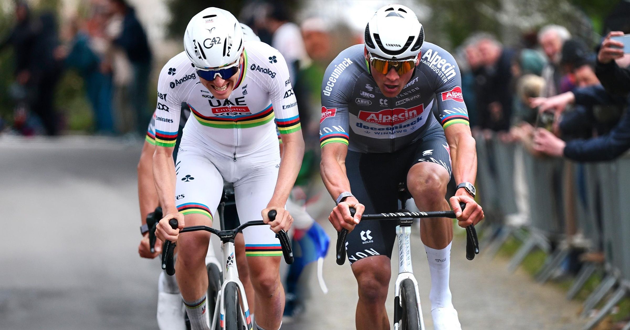 2025 Ronde Van Vlaanderen