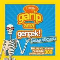 Ahmak Bilimi: Spor