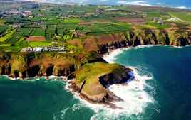 Amerika'nın Ulusal Parkları : Ayılar