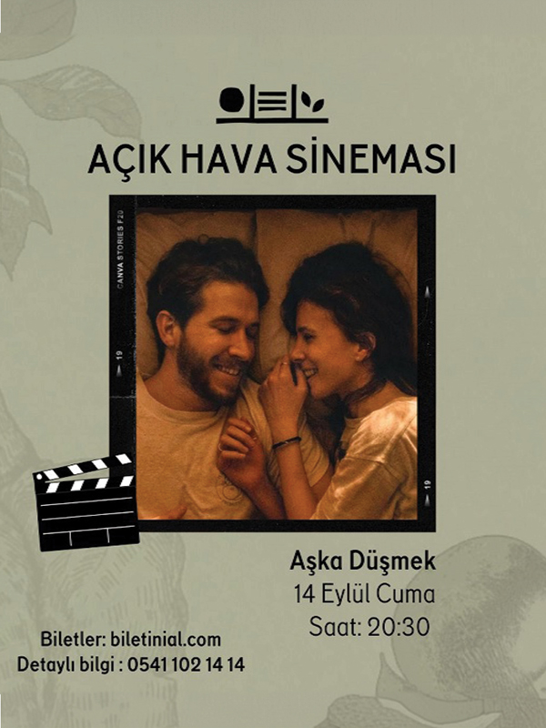Aşka Düşmek