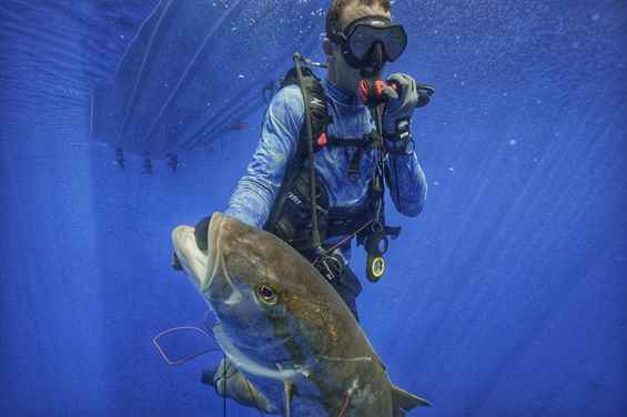 Atlantis'in Peşinde