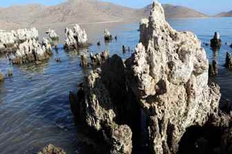 Avustralya - Danimarka