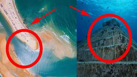 Bermuda Şeytan Üçgeni'nin Köpekbalıkları