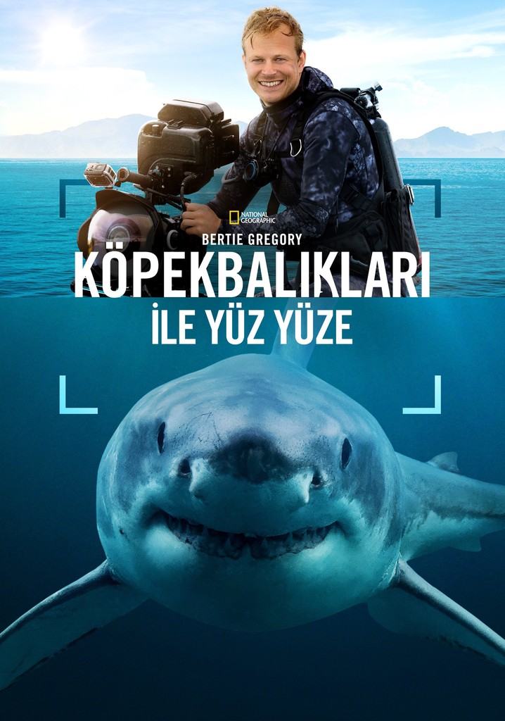 Bertie Gregory Çekiç Başlı Köpekbalıkları İle Yüz Yüze