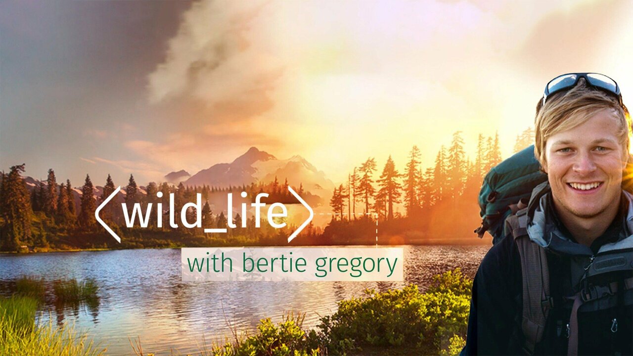 Bertie Gregory Köpekbalıkları ile Yüz Yüze