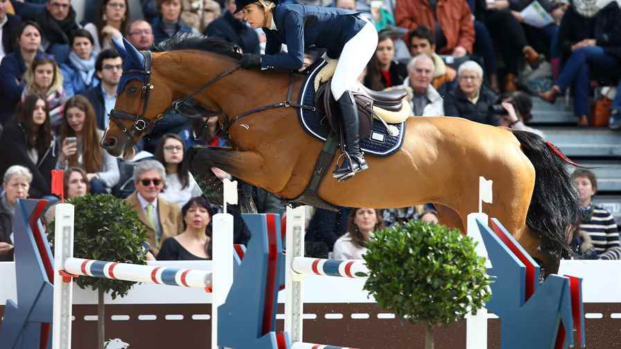 Binicilik: Saut Hermes