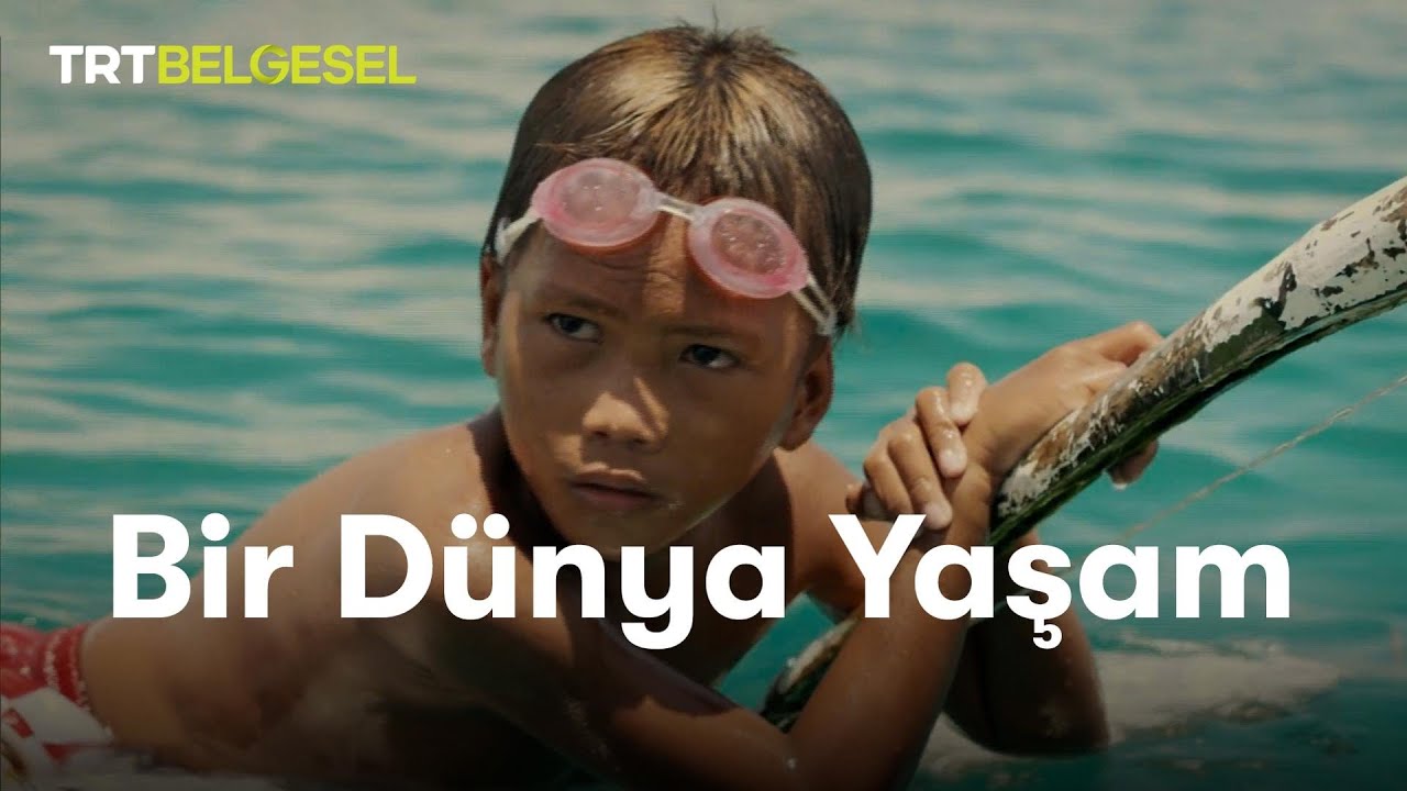 Bir Dünya Yaşam