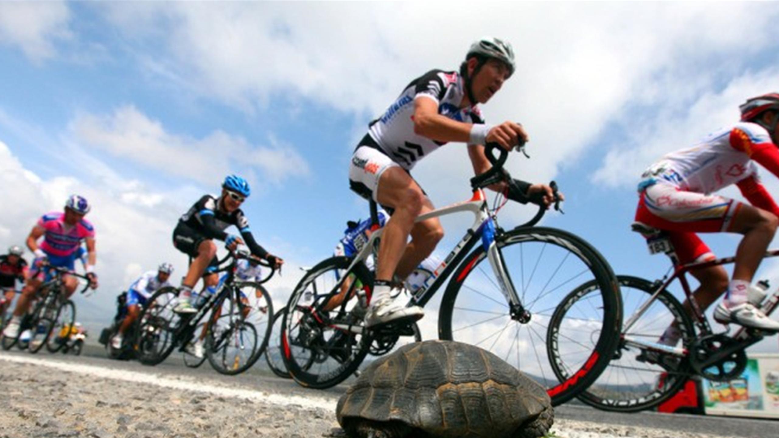 Bisiklet: Kadınlar BAE Turu