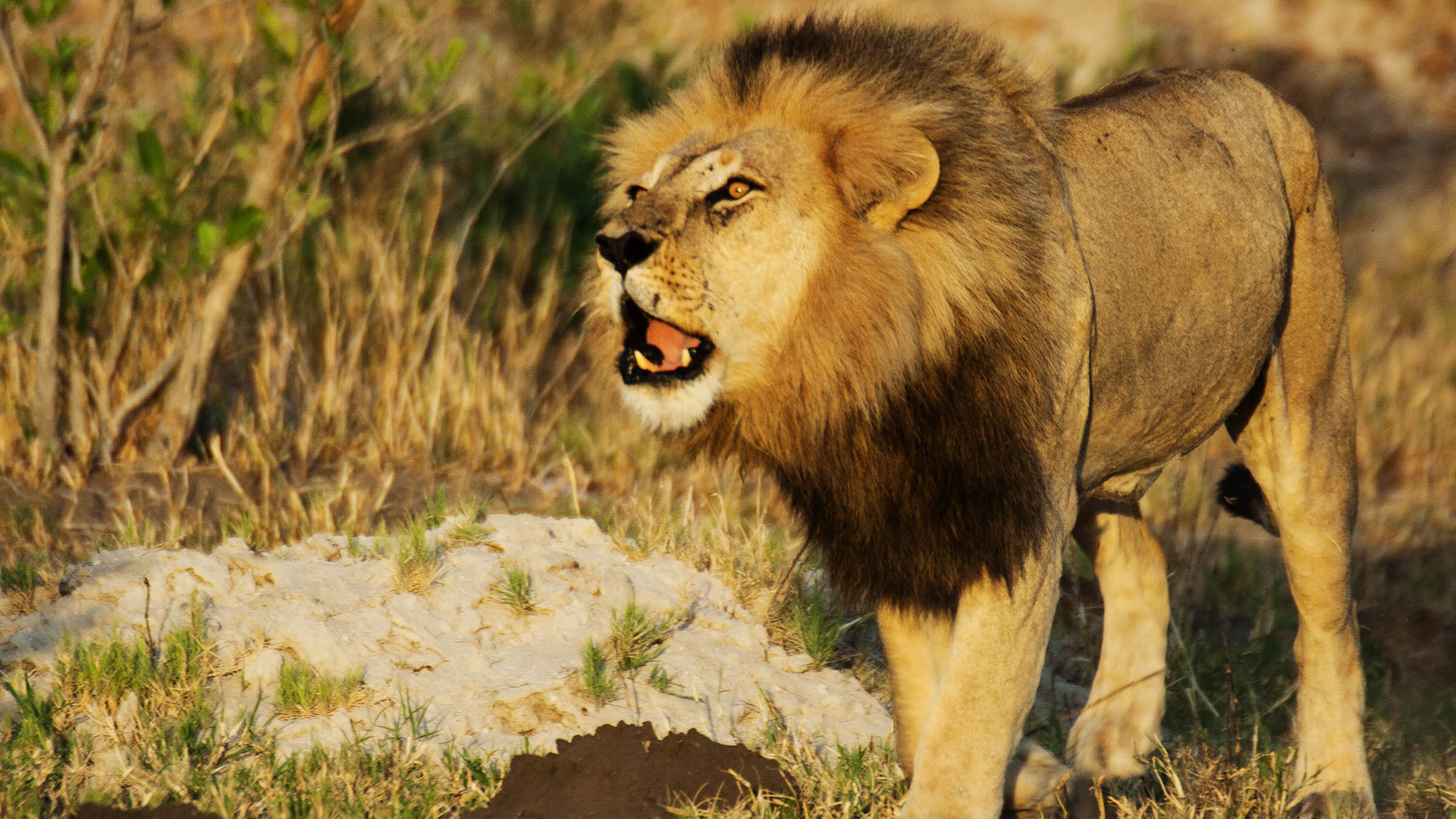 Botswana