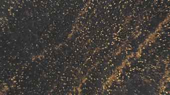 Brazil's Elections: A Fight for the Amazon