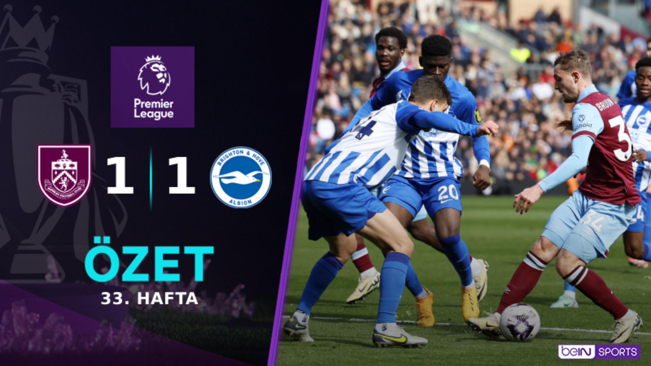 Brighton H.A. - Burnley