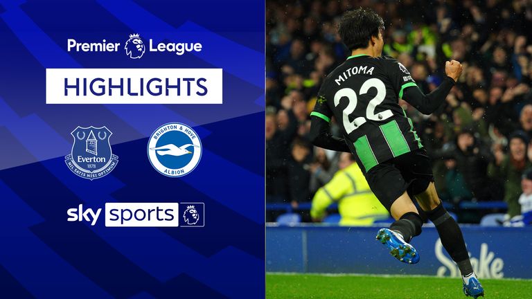 Brighton Hove Albion - Everton