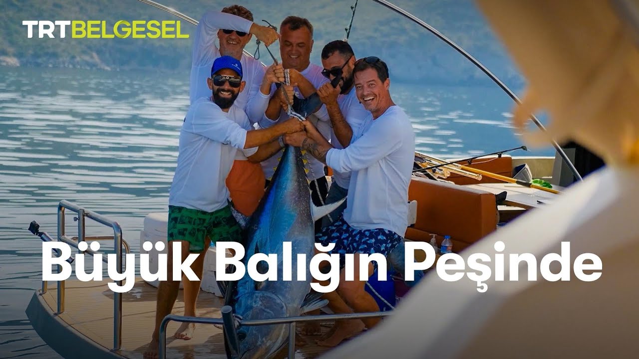 Büyük Balığın Peşinde