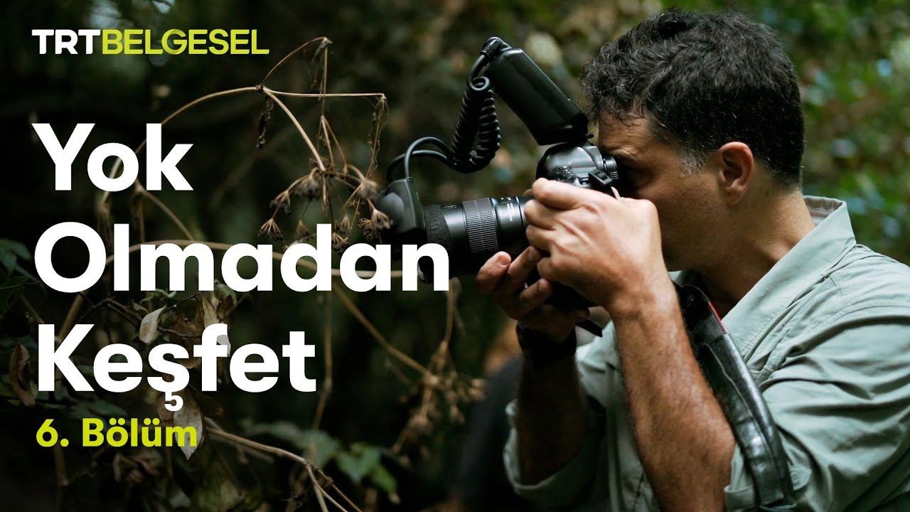 Büyük Şehrin Küçük Sakinleri