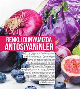 Büyülü Göl
