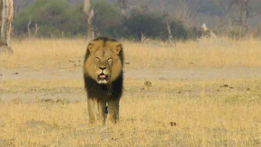 Cecil: Bir Kralın Mirası
