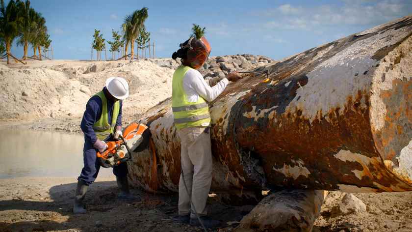 Cennet Adası'nı Yaratmak