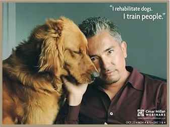 Cesar Millan: İyi İnsan, İyi Köpek