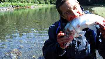 Coyote Peterson Projesi