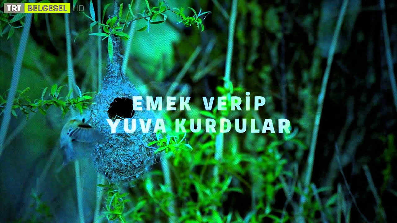 Çulha'nın Çilesi