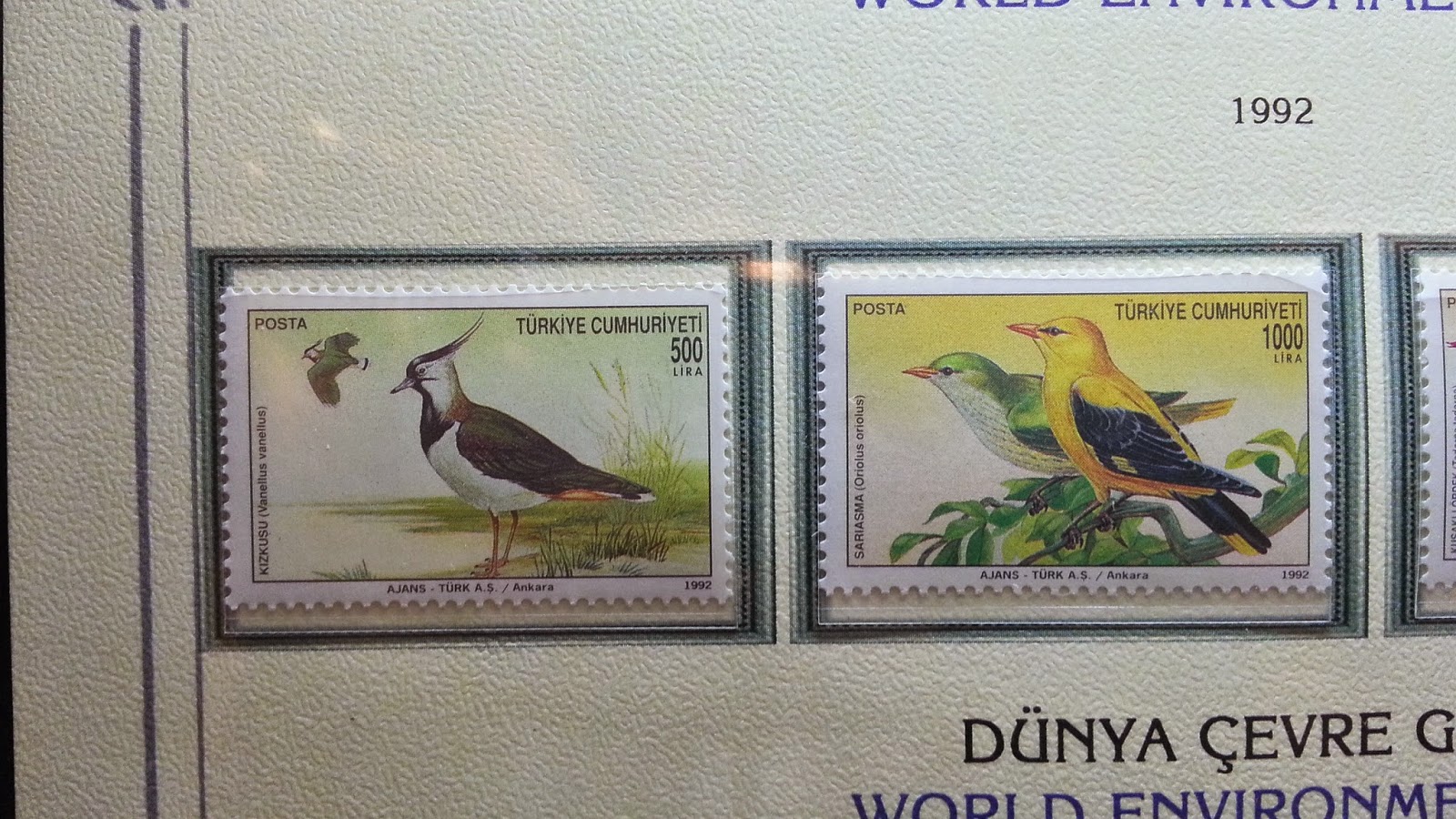 Cumhuriyet Rotası (2.bölüm) Tekrar