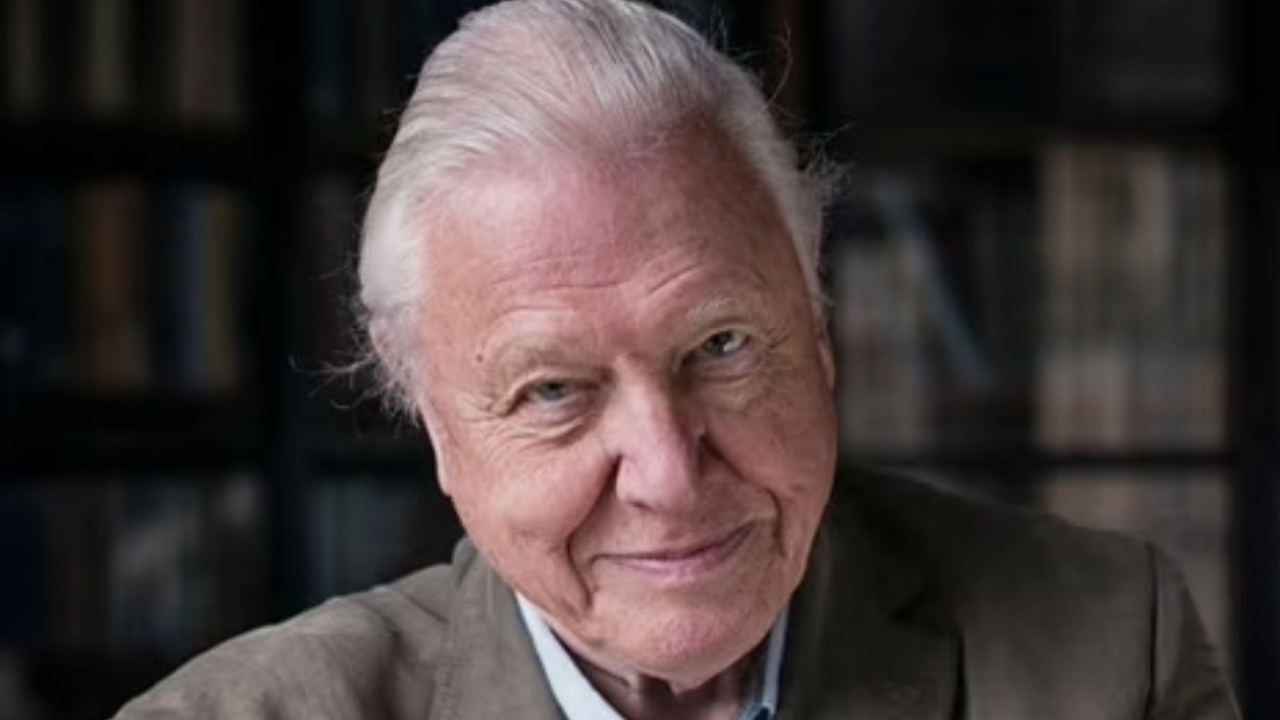 David Attenborough ile Okyanuslar