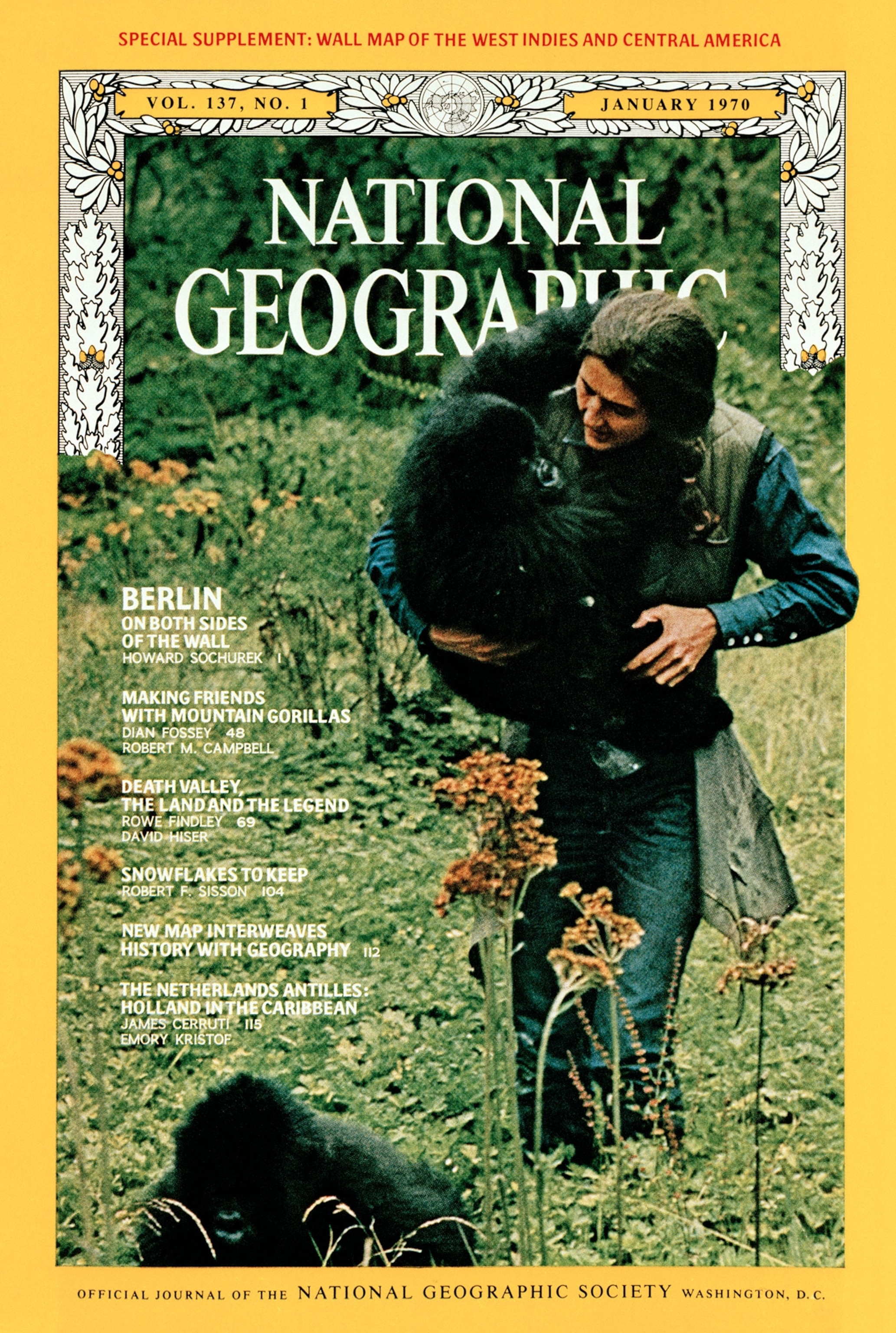 Dian Fossey
