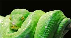 Dişi Kaplan Birliği