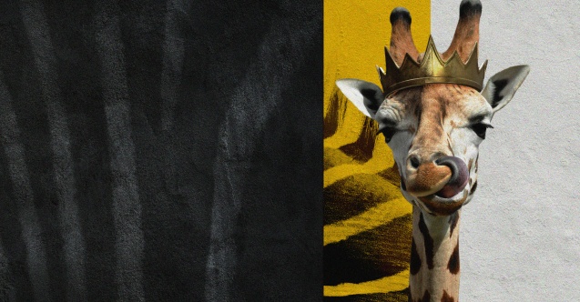 Disney'in Sihirli Adası