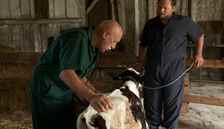 Dr. Pol: Muhteşem Doğumlar