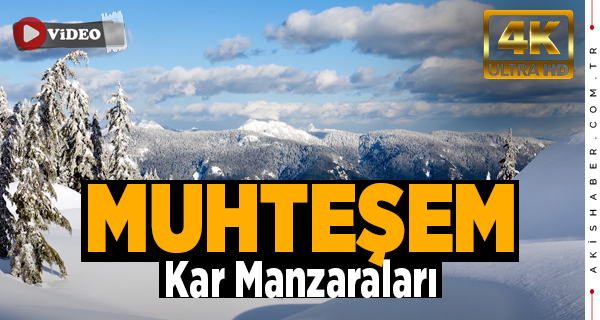 Dünya'nın Dört Bir Yanı