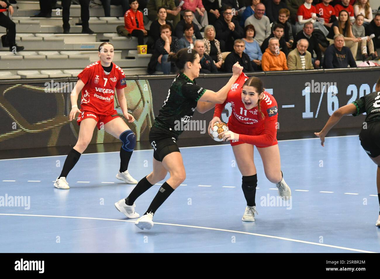 EHF ŞAMPİYONLAR LİGİ GLOARIA-VEGETA