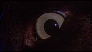 Enrico Clerico Nasino