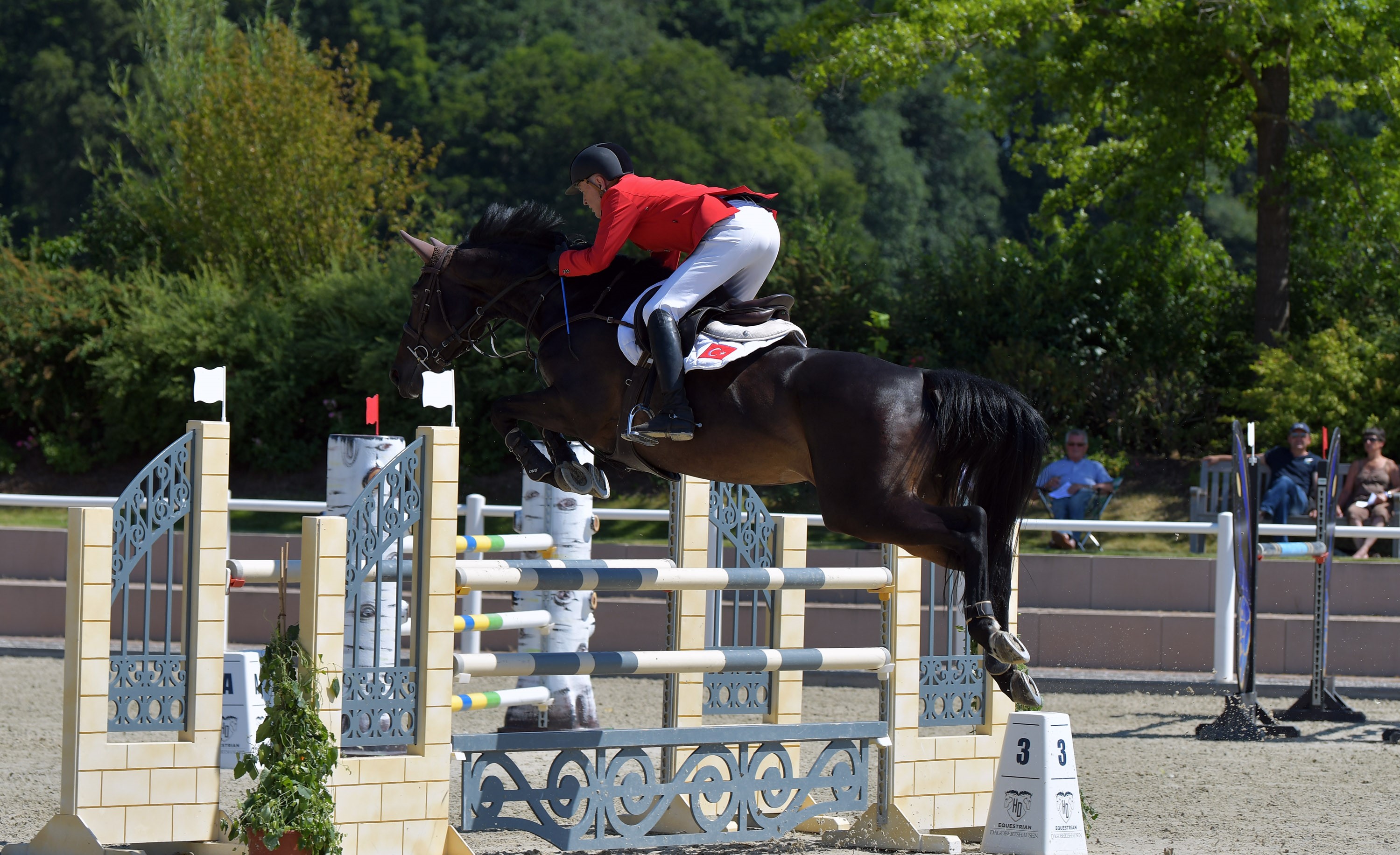 FEİ BİNİCİLİK AVRUPA ŞAMPİYONASI