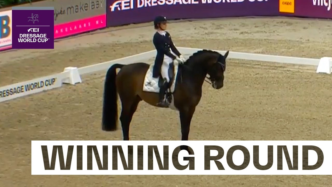 Fei Ride World Tour