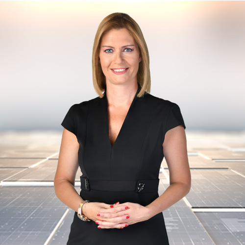 Gayrimenkul Göstergesi