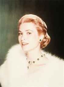 Gergedanların Peşinde