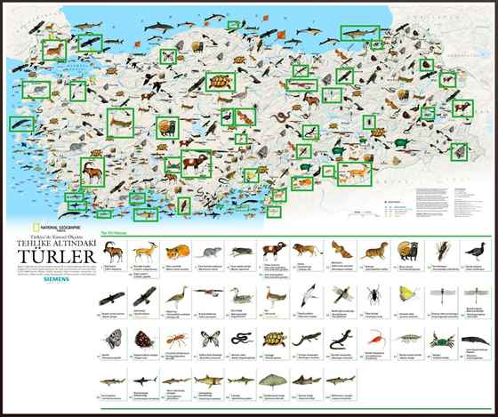 Gökyüzünden Avrupa Özel