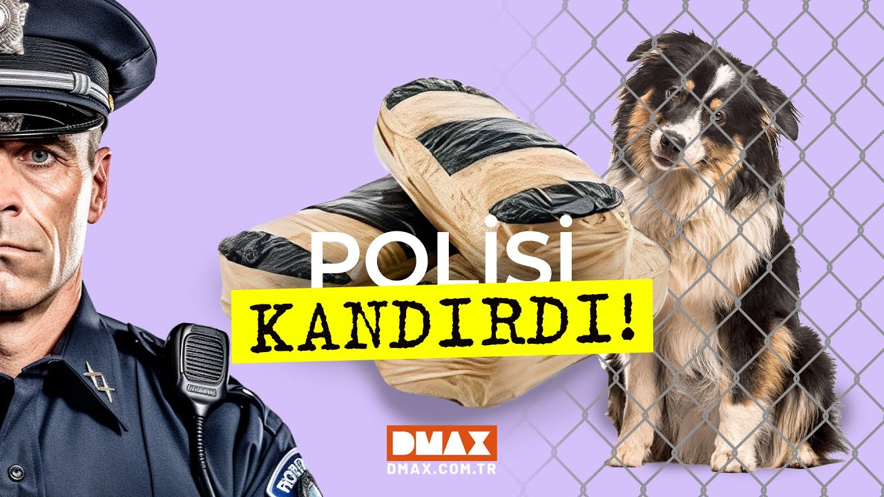 Gümrük Kontrol: Polonya
