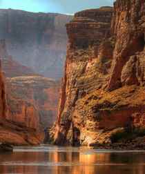 Güney Amerika'nın En Tuhaf Hayvanları