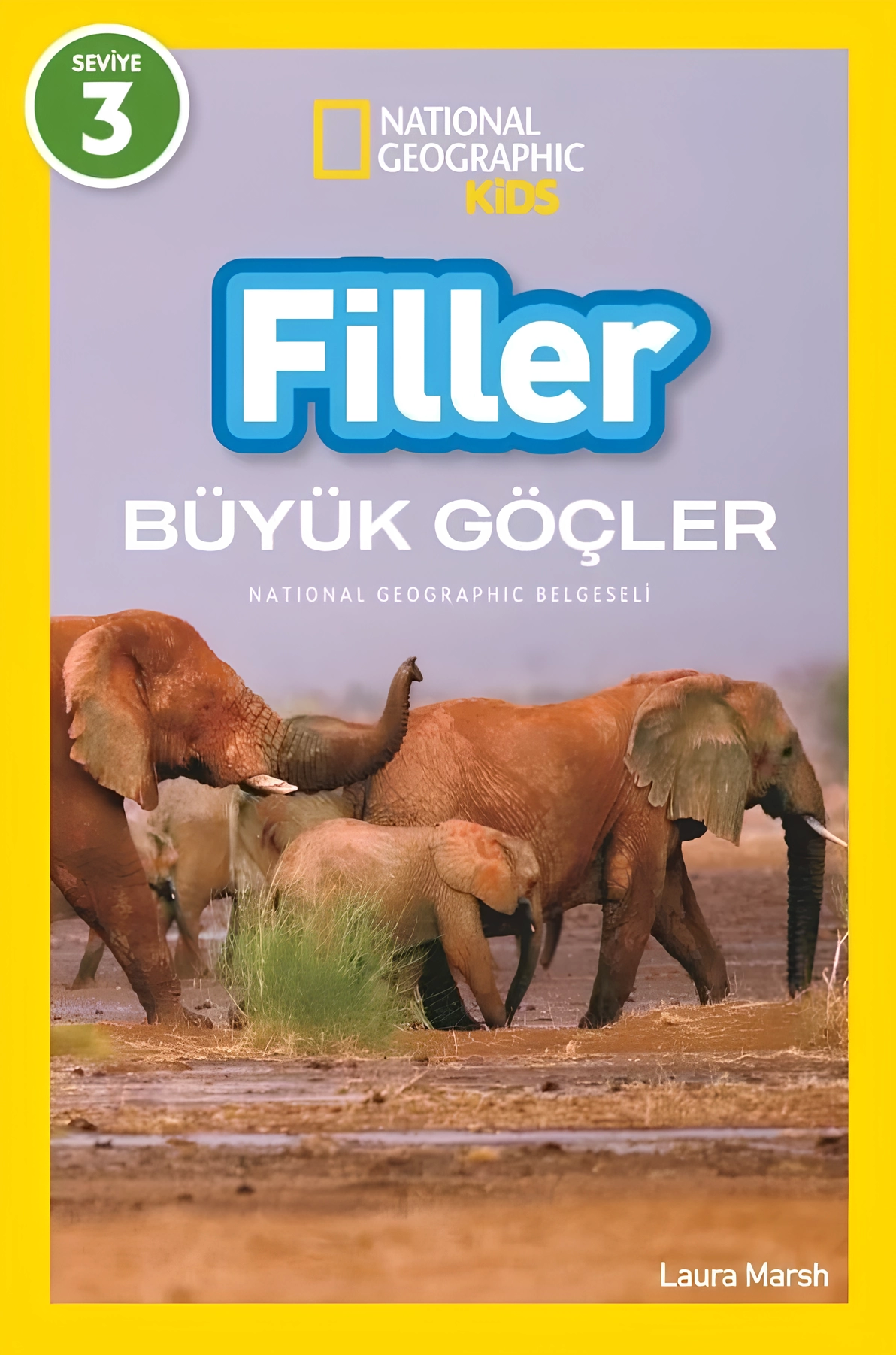 Hayalet Filler
