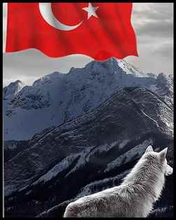 Hayatımın En Güzel Günü