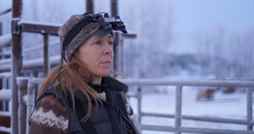 Heartland Veterinerleri