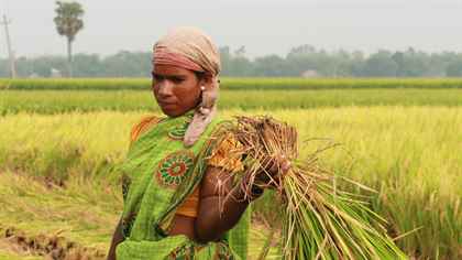 Hindistan'ın Kayıp Harikaları
