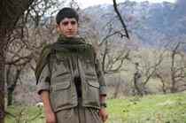 Hitler'in Son Direnişi: Sonuna Kadar Savaş