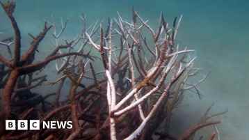 Ian Hislop's 2022: In...