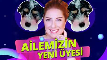 İmkansız Köpekler: Yeni Üyeler