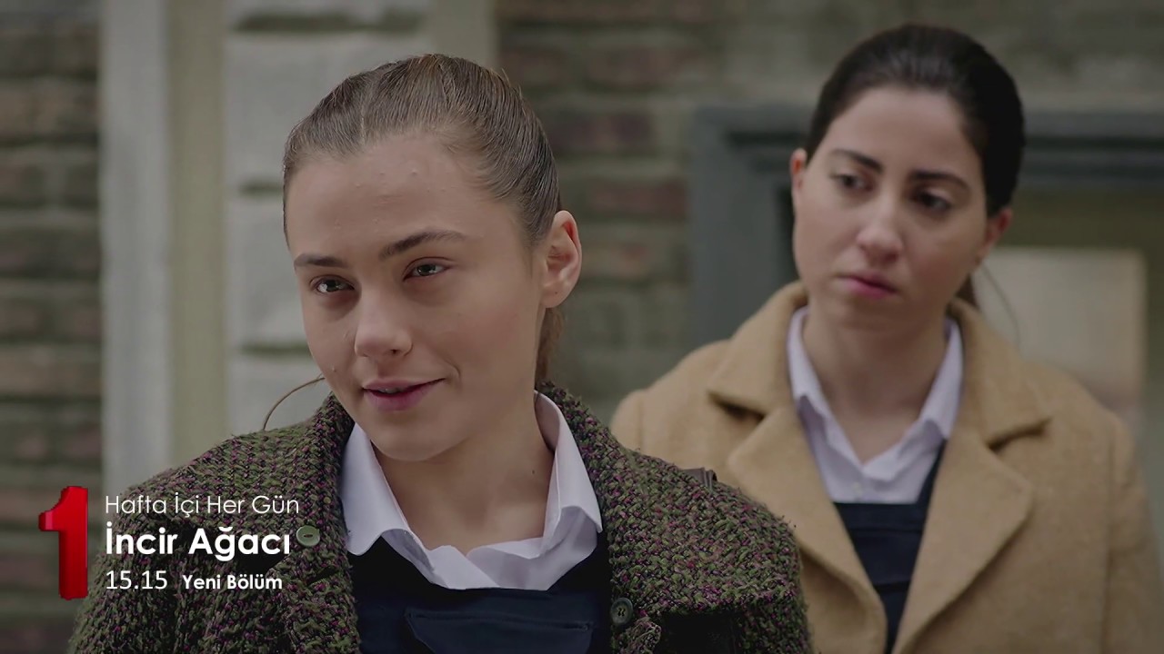 İncir Ağacı