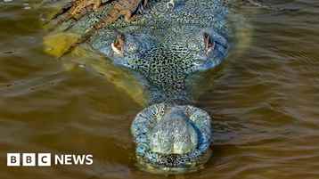 India's Wait for Water