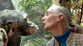 Jane Goodall: Umut